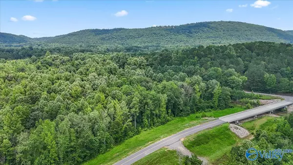 Altoona, AL 35952,Unit #0 Murphree Valley Road