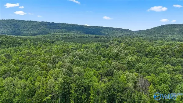 Altoona, AL 35952,Unit #0 Murphree Valley Road