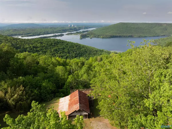 Dutton, AL 35744,244 County Road 224