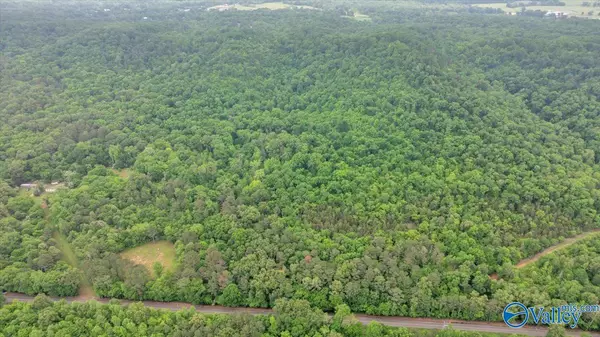 6153 Browns Valley Road, Guntersville, AL 35976