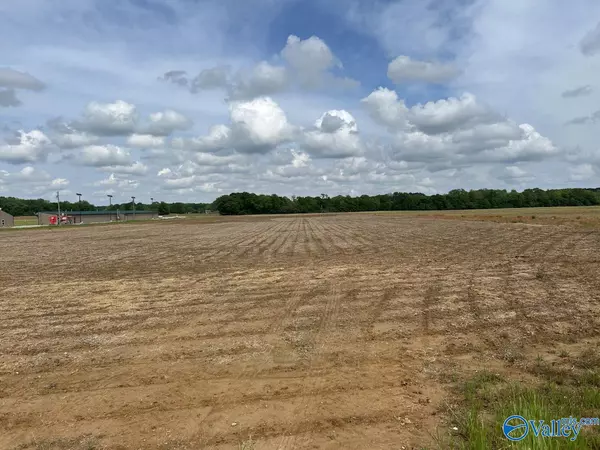 12 Acres Hwy 43, Florence, AL 35634