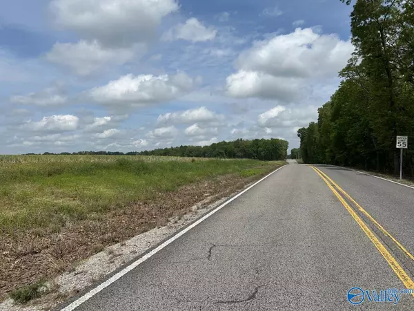 Anderson, AL 35610,54 ACRES Hwy 207