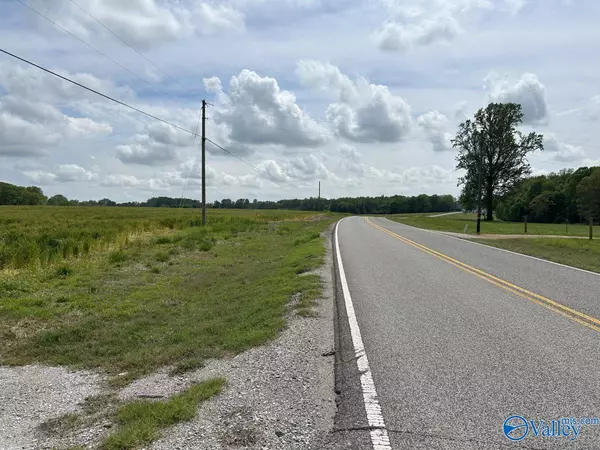 Anderson, AL 35610,54 ACRES Hwy 207