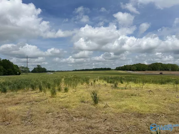 54 ACRES Hwy 207, Anderson, AL 35610