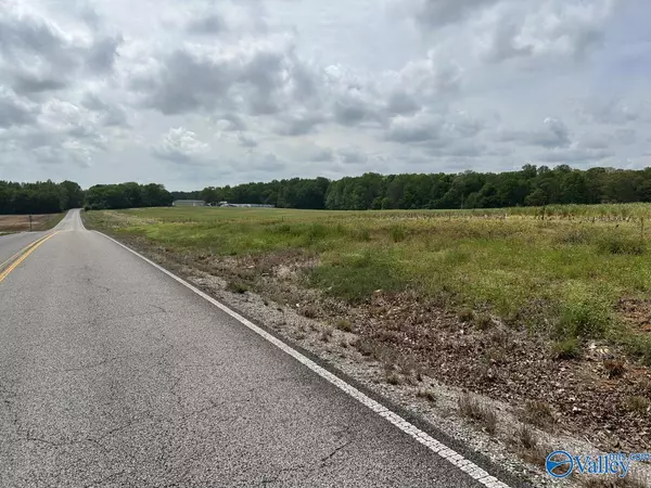 Anderson, AL 35610,54 ACRES Hwy 207