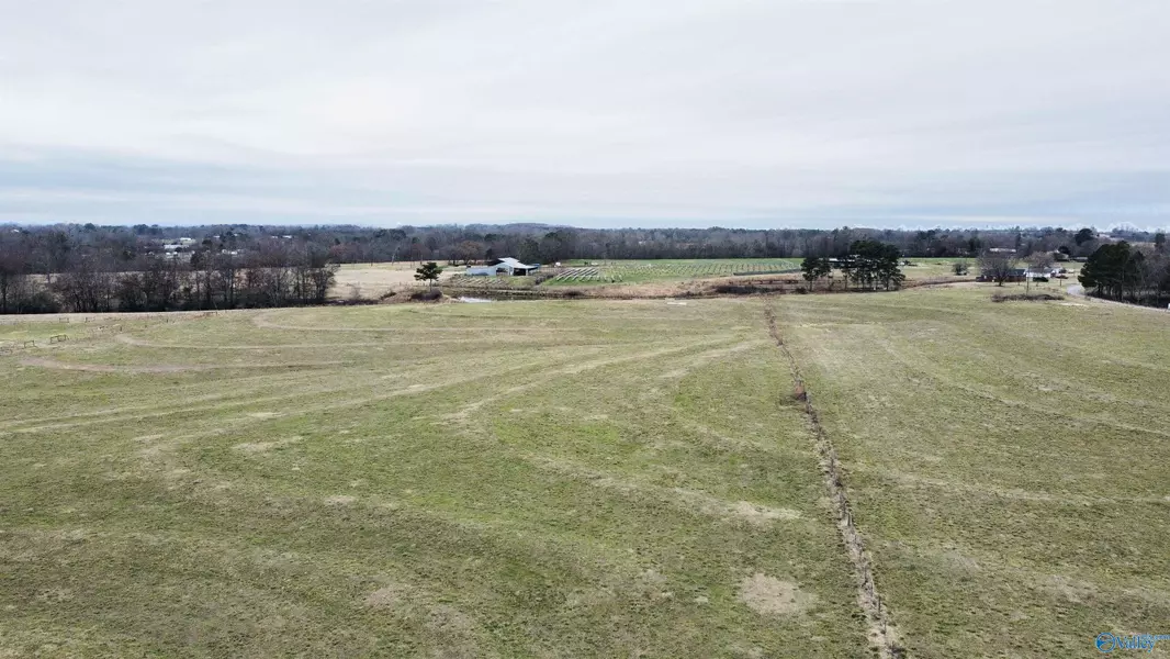 1439 Smith Drive, Horton, AL 35980