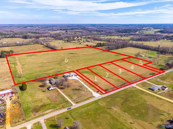 Rogersville, AL 35652,Tract 3 County Road 51