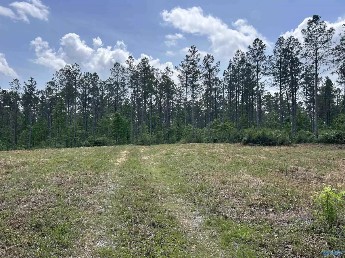 Vinemont, AL 35179,40 acres County Road 1208