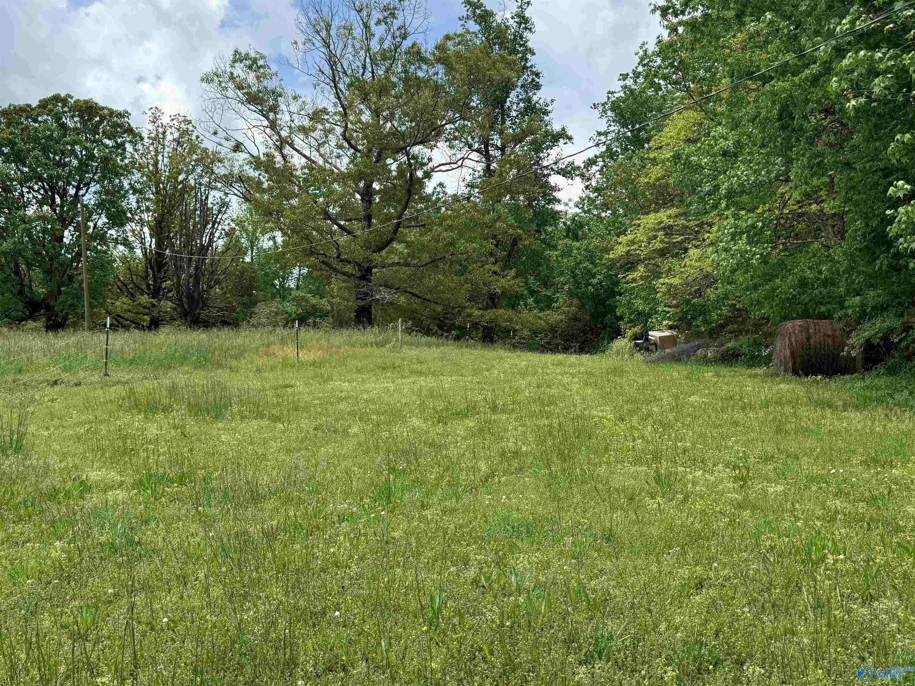Woodville, AL 35776,5 Ac. County Road 8