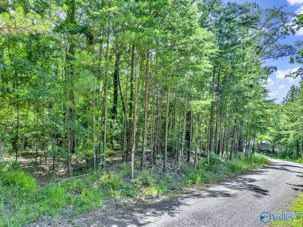 Double Springs, AL 35553,Lot 6 Whippoorwill Drive