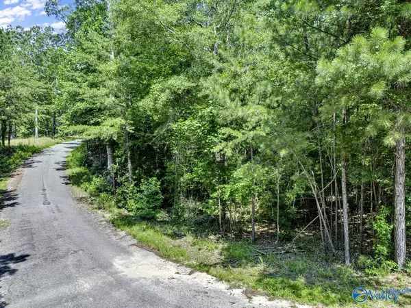 Double Springs, AL 35553,Lot 6 Whippoorwill Drive