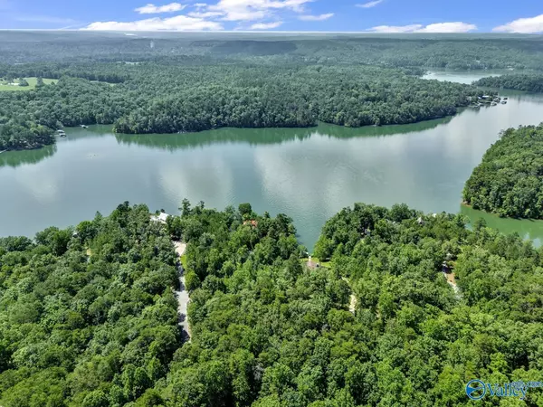 Double Springs, AL 35553,Lot 6 Whippoorwill Drive