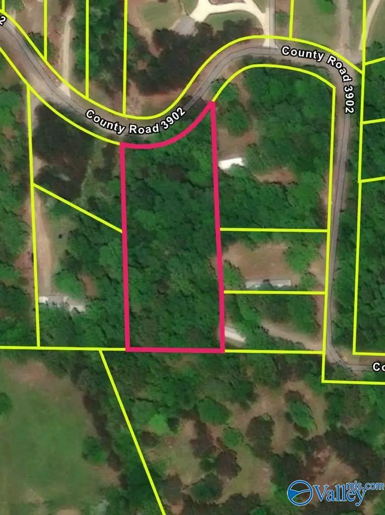 Arley, AL 35553,Lot #11 County Road 3902