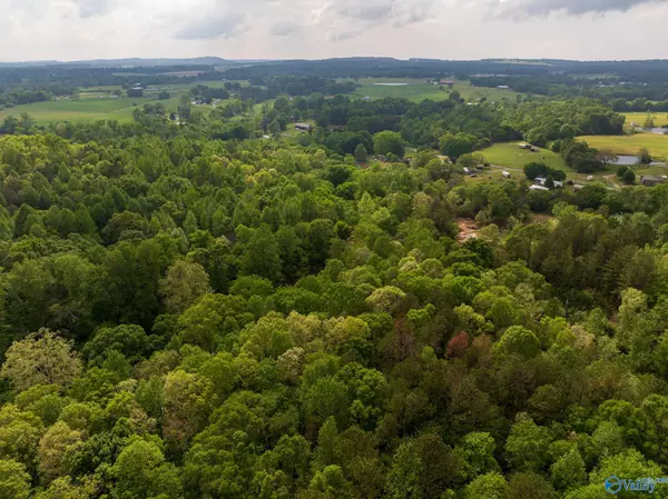 Horton, AL 35980,9.60+ ACRES Pleasant Grove Road