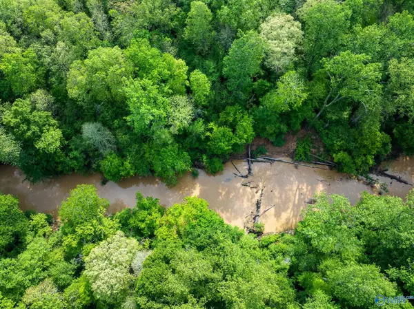 Horton, AL 35980,9.60+ ACRES Pleasant Grove Road