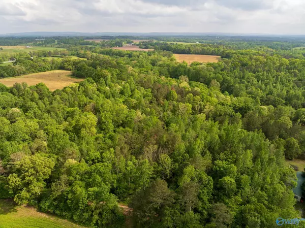 Horton, AL 35980,9.60+ ACRES Pleasant Grove Road