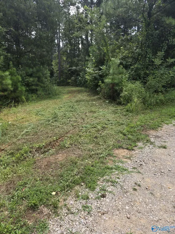 Moulton, AL 35650,3810 County Road 59