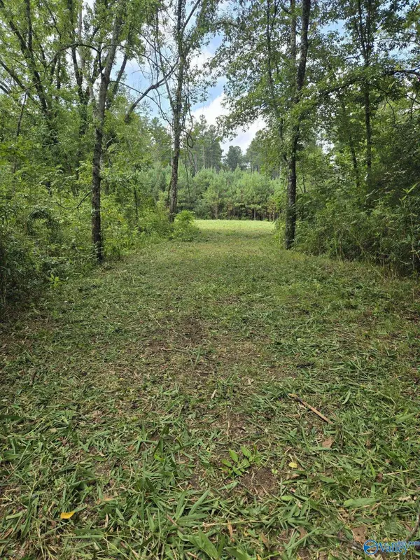 Moulton, AL 35650,3810 County Road 59