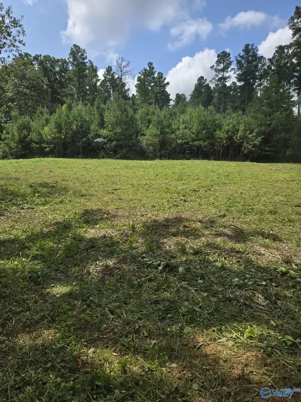 Moulton, AL 35650,3810 County Road 59