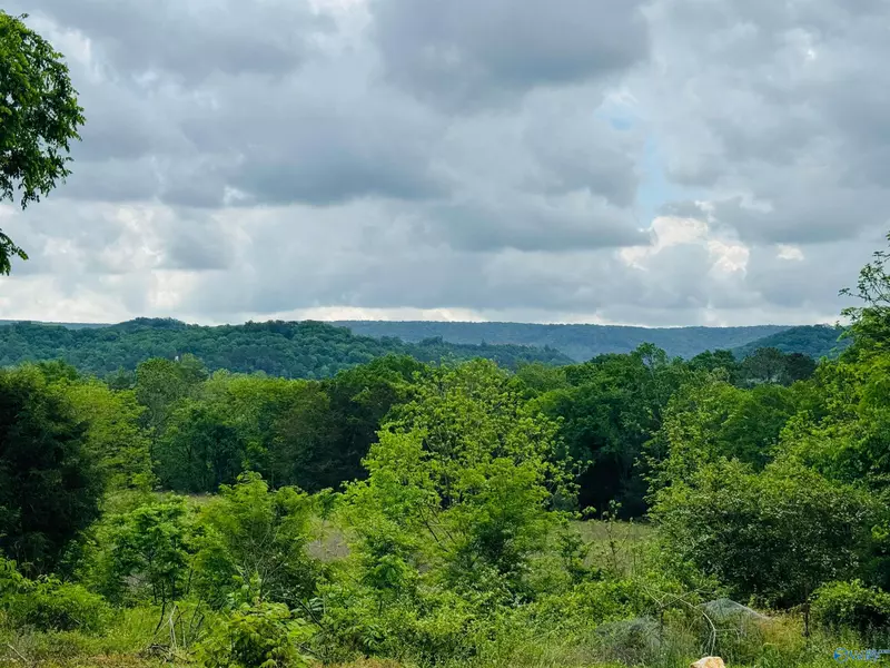 2803 Browder Road NW, Fort Payne, AL 35968