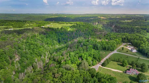 Pisgah, AL 35765,12 ACRES County Road 665