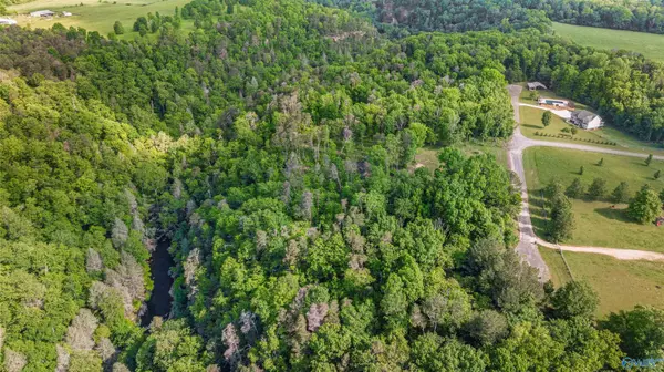 Pisgah, AL 35765,12 ACRES County Road 665