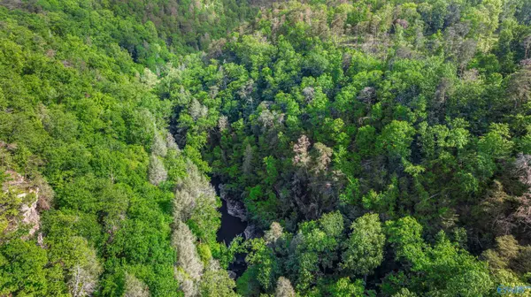 Pisgah, AL 35765,12 ACRES County Road 665