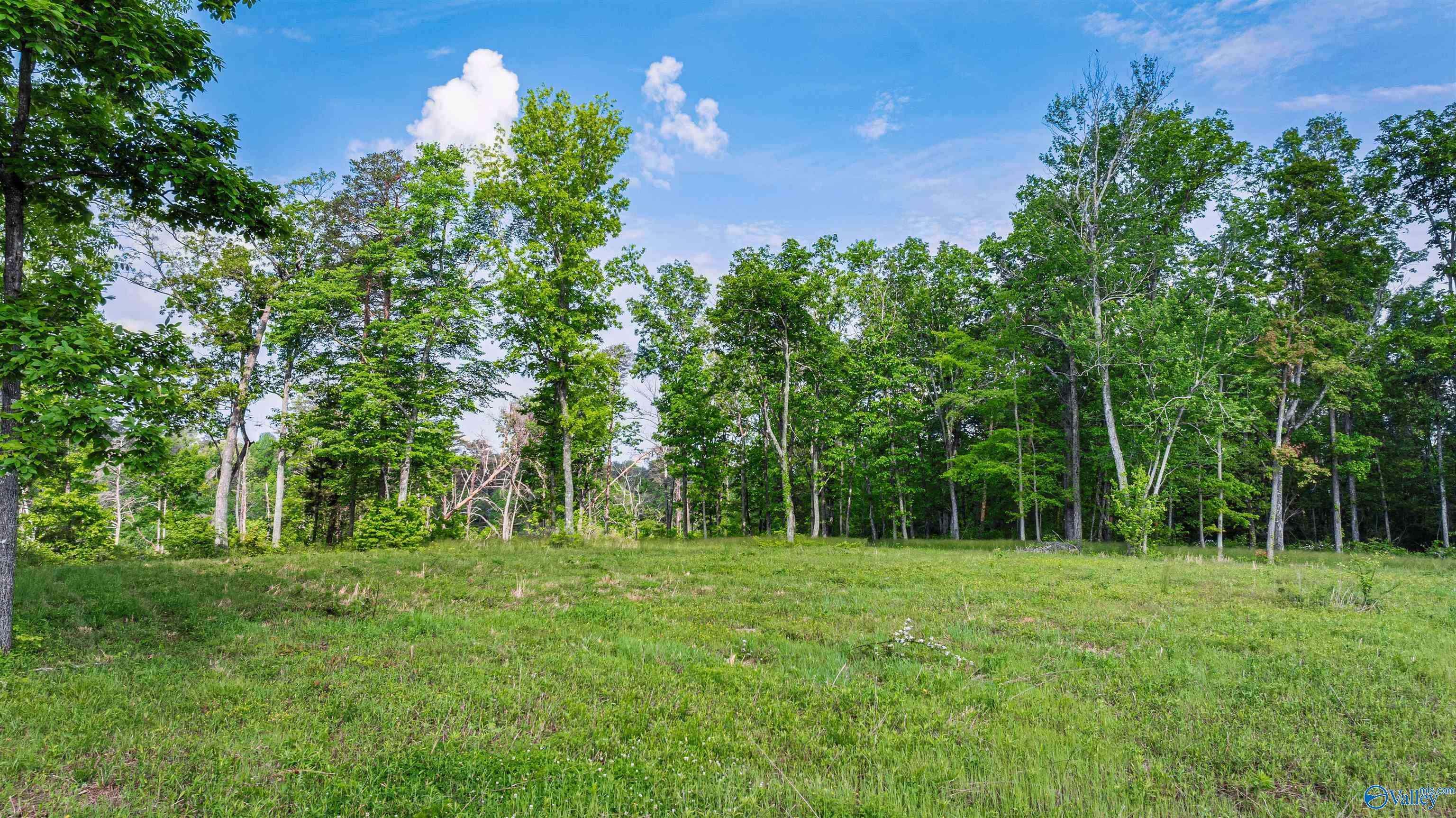 12 ACRES County Road 665, Pisgah, AL 35765