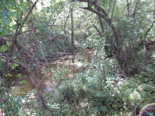 Piedmont, AL 36272,80 Acres County Road 29