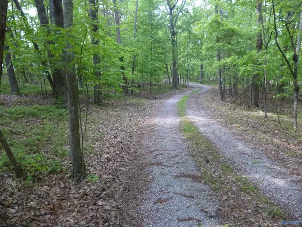 3735 (lot 11) County Road 166 (Citadel Rock Road),  Fort Payne,  AL 35967