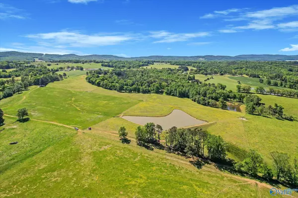 Blountsville, AL 35031,1657 Hamm Road