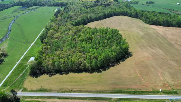 7 Sandlin Road, Elkmont, AL 35620