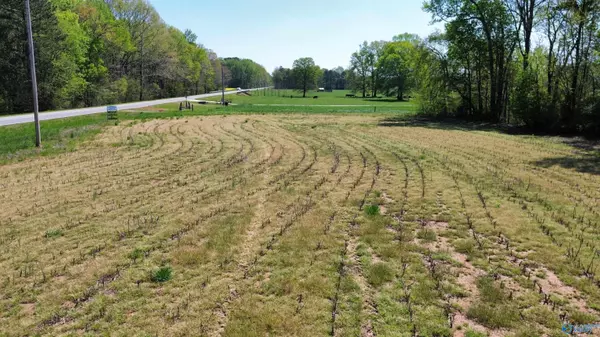 Elkmont, AL 35620,7 Sandlin Road