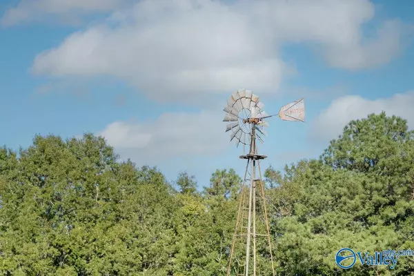 Coffee Springs, AL 36318,262 County Road 664