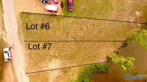 Cedar Bluff, AL 35959,Lot 6 & 7 County Road 115