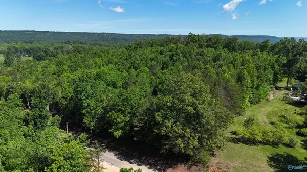 Lot 3 County Road 60, Gaylesville, AL 35973