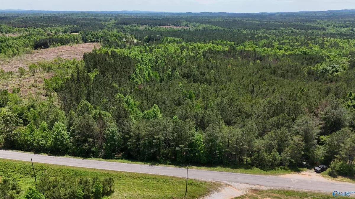 Fruithurst, AL 36262,Lot 1 County Road 40