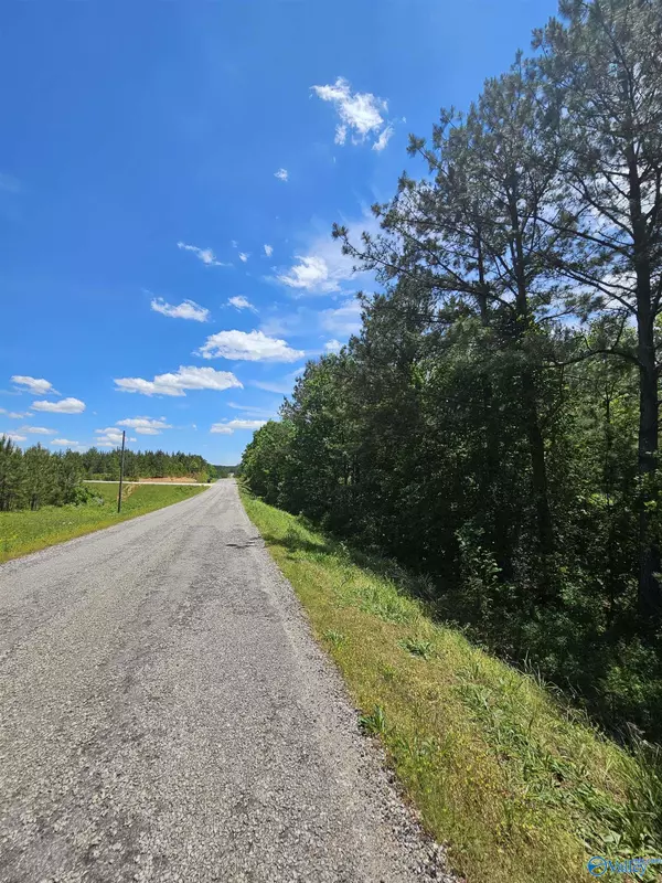Fruithurst, AL 36262,Lot 2 County Road 40