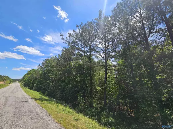 Fruithurst, AL 36262,Lot 2 County Road 40