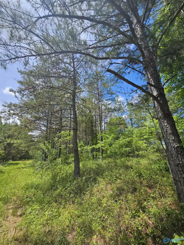 Fruithurst, AL 36262,Lot 3 County Road 40