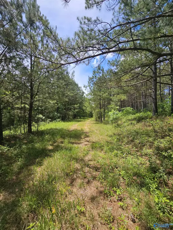 Fruithurst, AL 36262,Lot 3 County Road 40