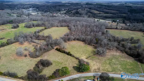 Anderson, AL 35610,Tract 1 County Road 656