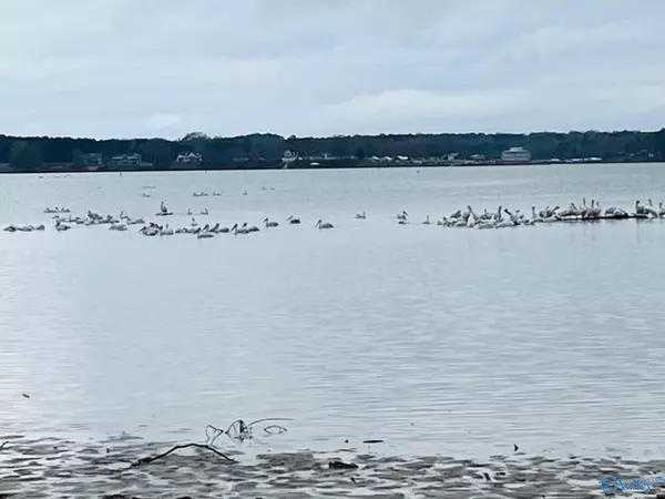 177 County Road 1043 #13, Centre, AL 35960