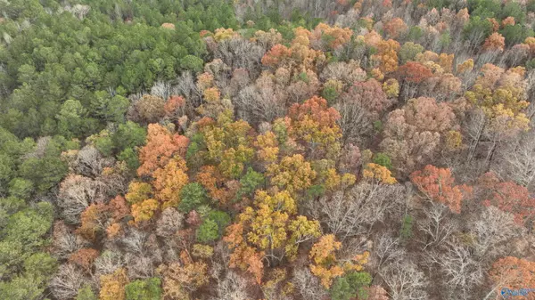 Boaz, AL 35956,279 AC Sligo Road