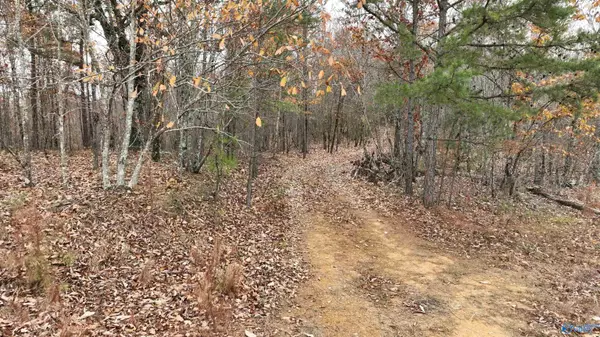 Boaz, AL 35956,279 AC Sligo Road