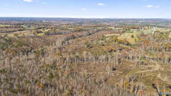 Vinemont, AL 35179,193 AC County Road 1069