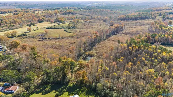 Vinemont, AL 35179,193 AC County Road 1069