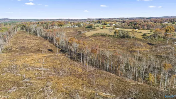 Vinemont, AL 35179,193 AC County Road 1069