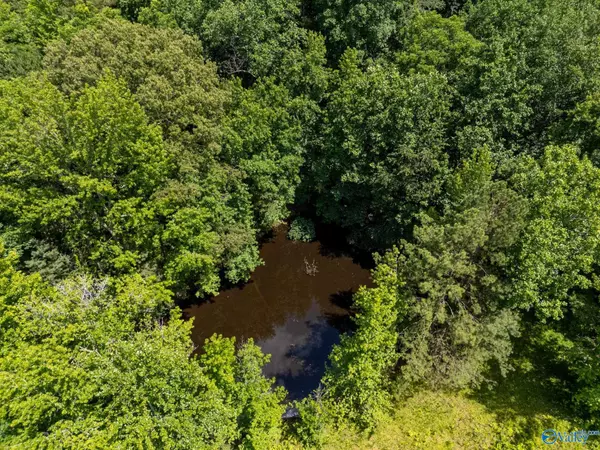 Athens, AL 35614,12368 Hickory Hills Road