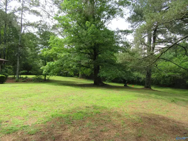 Cullman, AL 35055,3212 County Road 730